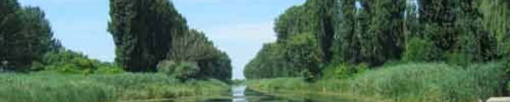 image | U subotu 10.04.2021. godine u 5 do 12 ispred zgrade lokalne skupštine udruženje građana Lokalna alternativa započinje akciju prikupljanja potpisa peticije za uspostavljanje kontrole kvaliteta vazduha i vode za piće u opštini Vrbas.

