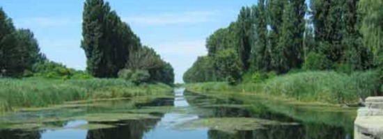 image | U subotu 10.04.2021. godine u 5 do 12 ispred zgrade lokalne skupštine udruženje građana Lokalna alternativa započinje akciju prikupljanja potpisa peticije za uspostavljanje kontrole kvaliteta vazduha i vode za piće u opštini Vrbas.

