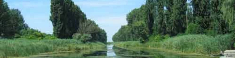 image | U subotu 10.04.2021. godine u 5 do 12 ispred zgrade lokalne skupštine udruženje građana Lokalna alternativa započinje akciju prikupljanja potpisa peticije za uspostavljanje kontrole kvaliteta vazduha i vode za piće u opštini Vrbas.

