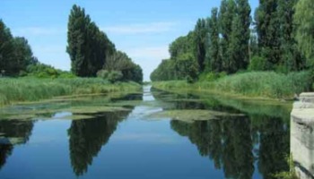 image | U subotu 10.04.2021. godine u 5 do 12 ispred zgrade lokalne skupštine udruženje građana Lokalna alternativa započinje akciju prikupljanja potpisa peticije za uspostavljanje kontrole kvaliteta vazduha i vode za piće u opštini Vrbas.

